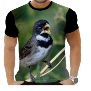 Camisa do Curió 2026